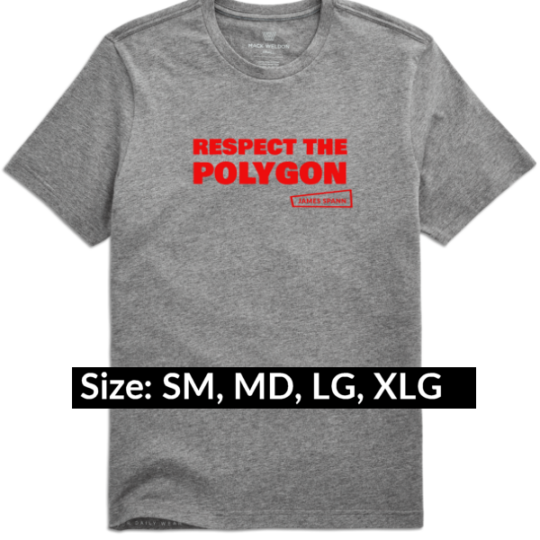 Respect the Polygon T-Shirt SM MD LG XLG Icon